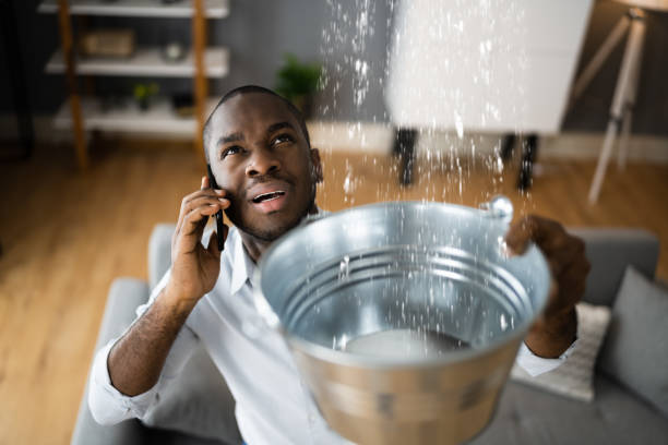 Trusted Crump, TN Water damage restoration Experts