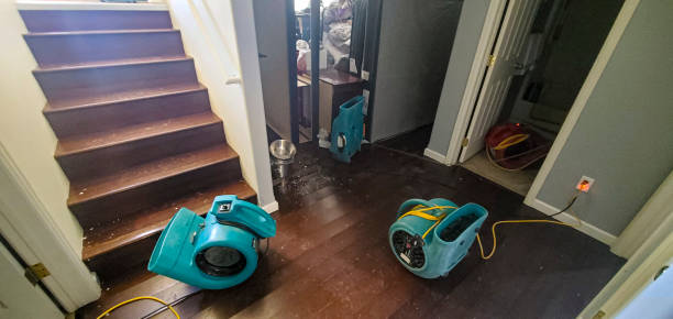 Best Residential water damage restoration  in Crump, TN