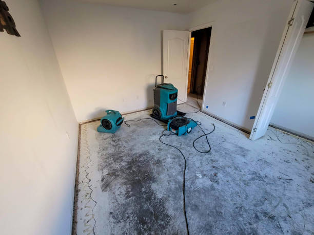 Best Emergency water damage restoration  in Crump, TN