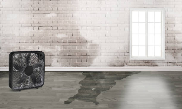 Best 24-hour water damage restoration  in Crump, TN