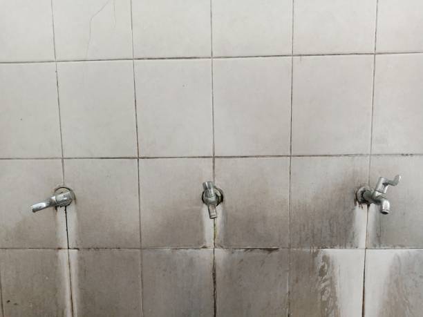 Best Water damage cleanup near me  in Crump, TN