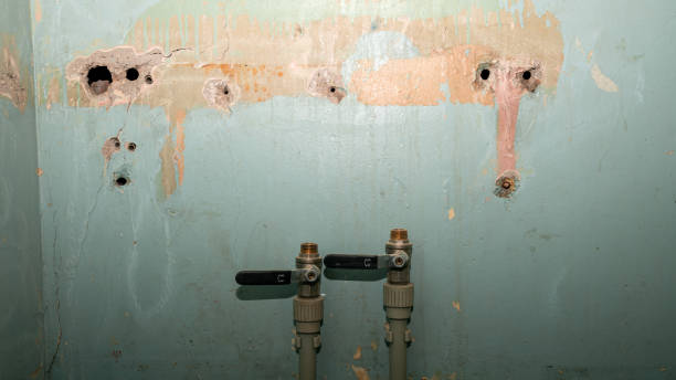 Best Water damage restoration near me  in Crump, TN