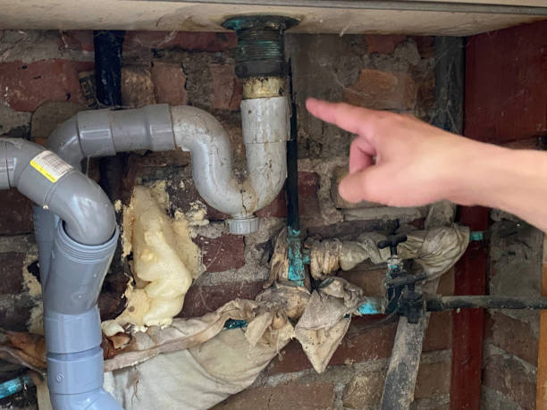 Best Basement water damage restoration  in Crump, TN