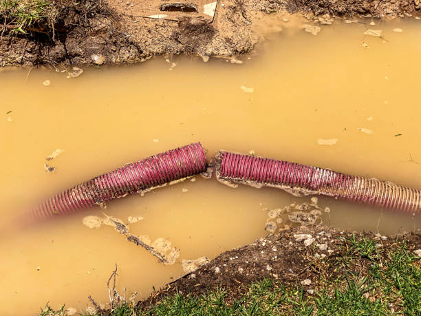 Sewage cleanup and water damage restoration in Crump, TN
