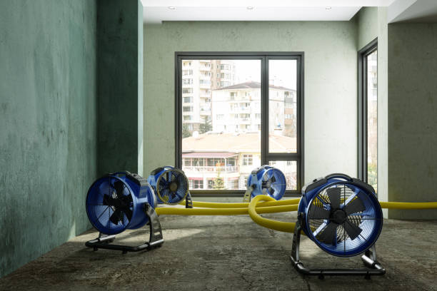 Best Water damage restoration company  in Crump, TN